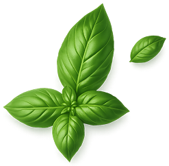 Basil Leaf Decoration